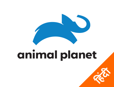Animal Planet Hindi